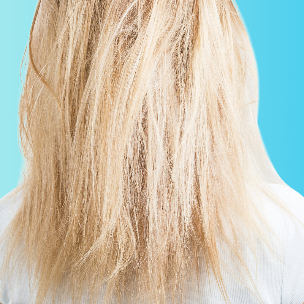 Oily Roots, Dry Ends? Here’s How to Balance Combination Hair