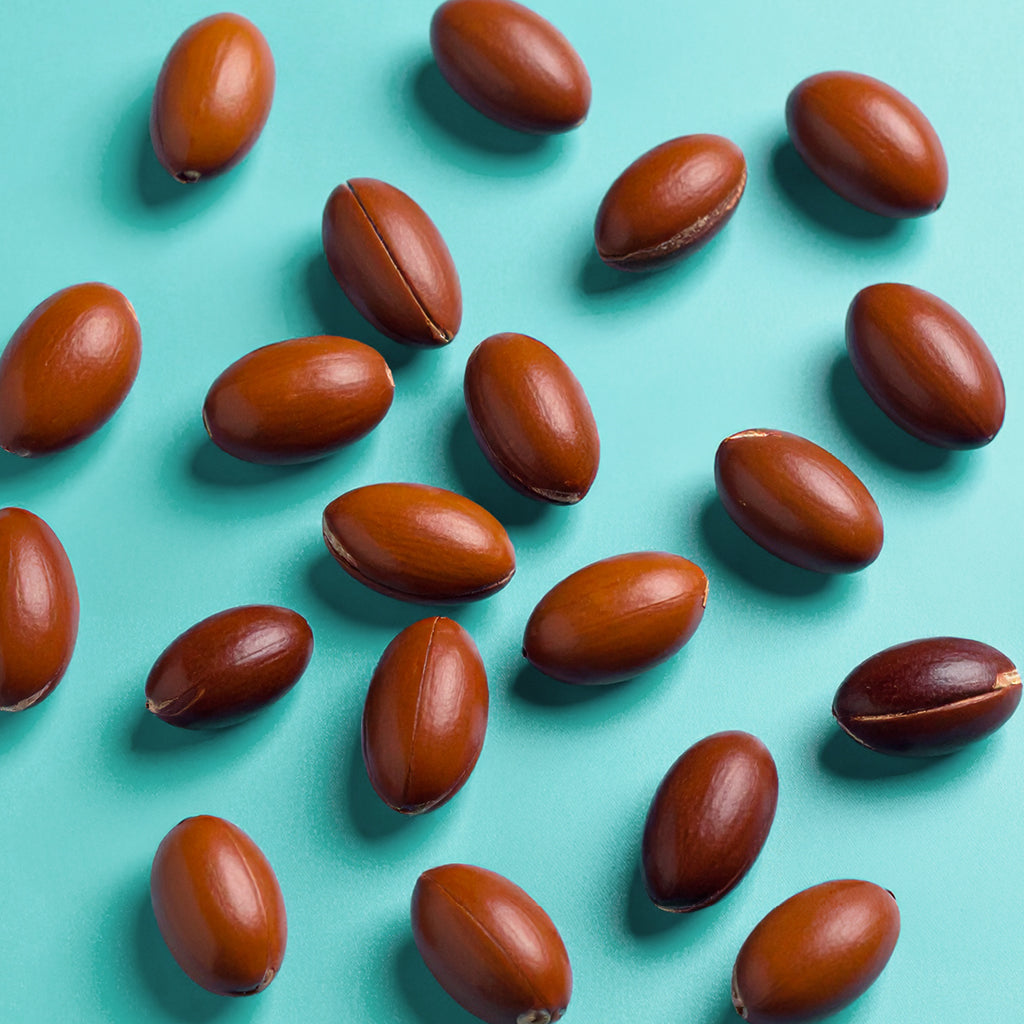 The Ultimate Guide to Healthy Hair: How Argan Oil Can Nourish Your Hair Back to Life